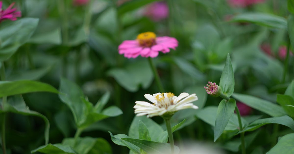 How to Use the Color Format Converter